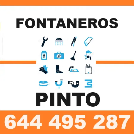 Fontaneros Pinto